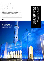 金光闪耀的阿奈斯先生封面