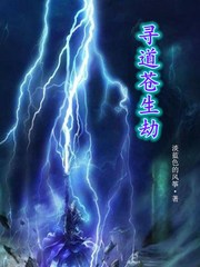 寻道苍生劫封面