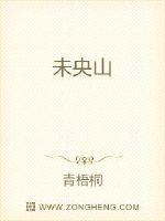 未央山封面