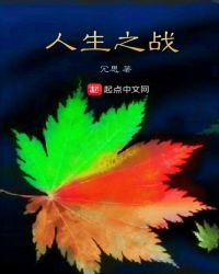 人生之战封面