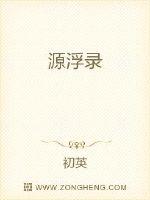 源浮录封面