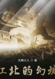 江北的幻城封面