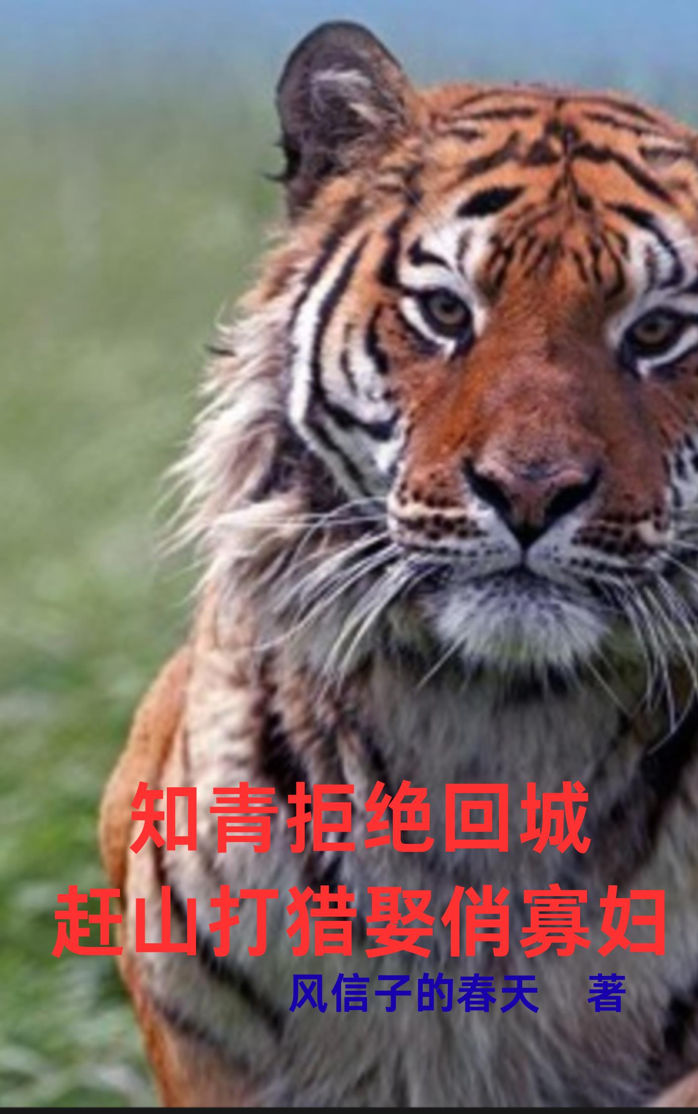 知青拒绝回城：赶山打猎娶俏寡妇封面