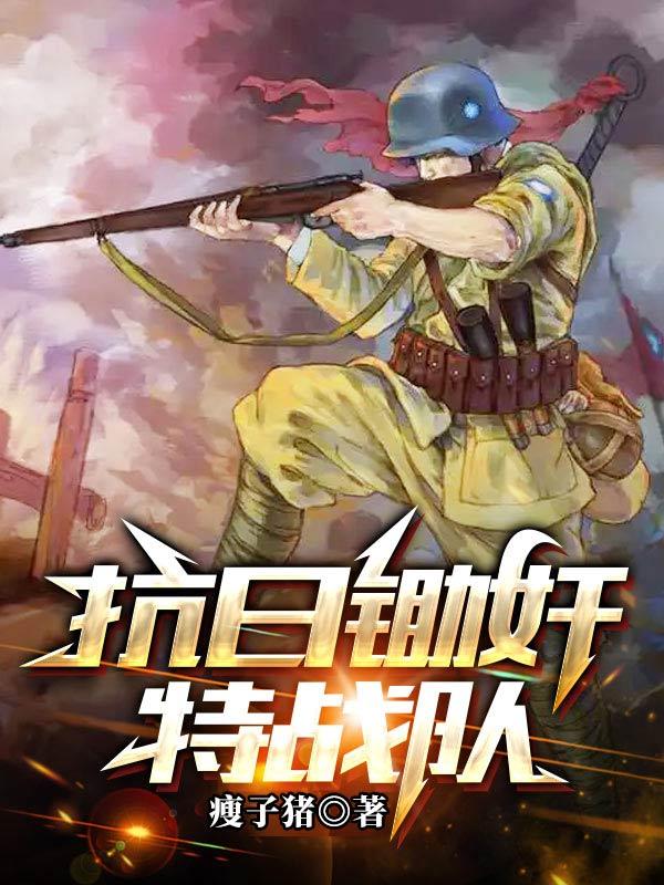 抗日锄奸特战队封面