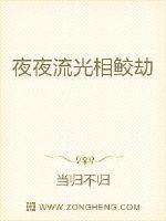 夜夜流光相鲛劫封面