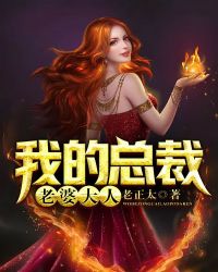 我的总裁老婆大人封面