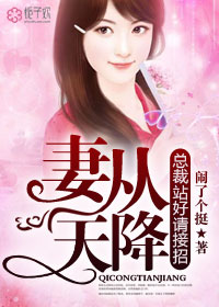 妻从天降，总裁站好请接招！封面