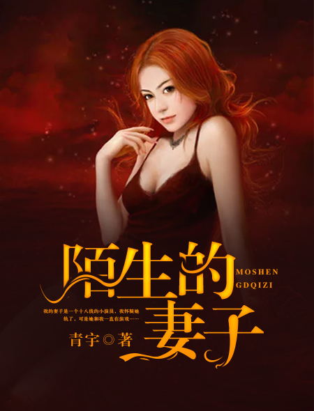 陌生的妻子封面