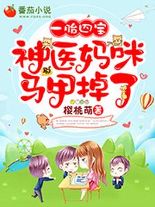 一胎四宝,神医妈咪马甲掉了封面