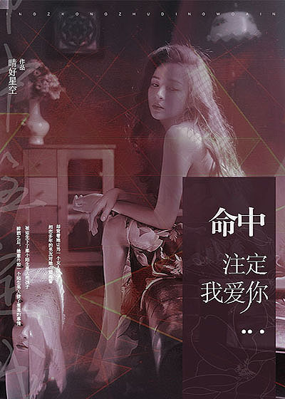 命中注定我爱你封面