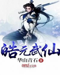 皓元武仙封面