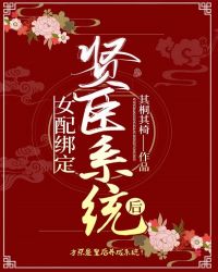 女配绑定贤臣系统后封面