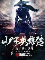 山河英雄传封面