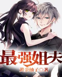 最强姐夫封面
