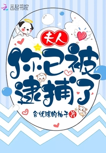 夫人你已被逮捕了封面