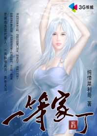 纯情犀利哥：一等家丁封面