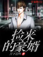 捡来的豪婿封面