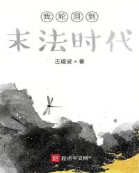 轮回在末法时代封面