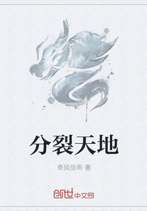 分裂天地封面