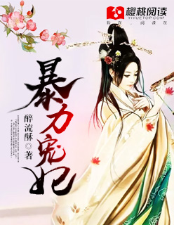 暴力宠妃封面
