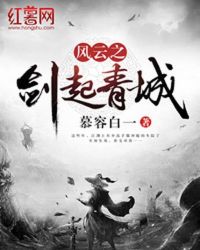 风云之剑起青城封面