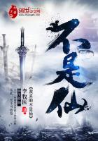 我真的不是仙封面