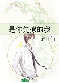 是你先撩的我封面