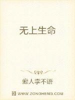 无上生命封面