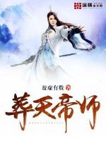 葬天帝师封面