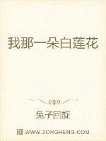 我那一朵白莲花封面