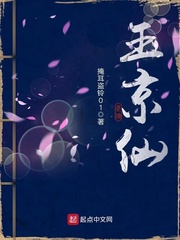 玉京仙封面
