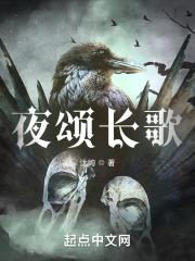 夜颂长歌封面