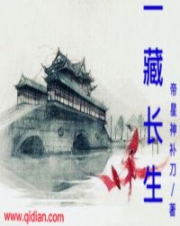 一藏长生封面