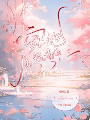 窃她封面