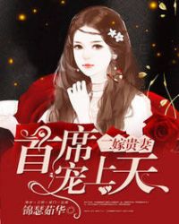 二嫁贵妻,首席宠上天封面