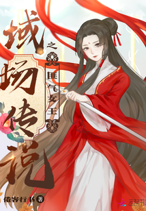 域场传说之匪气女王封面