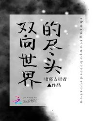 双向世界的尽头封面