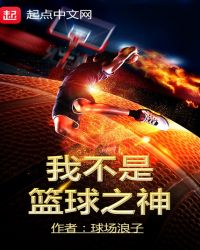 我不是篮球之神封面