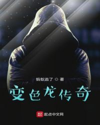 变色龙传奇封面