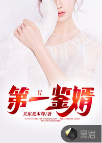 第一鉴婿封面