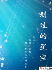 划过的星空封面