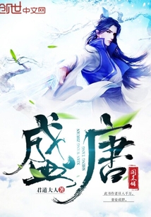 盛唐闲王传封面