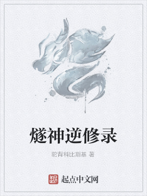 燧神逆修录封面