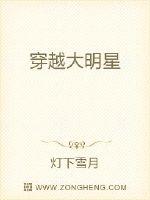 穿越大明星封面