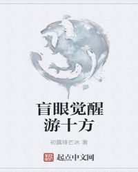 盲眼觉醒游十方封面