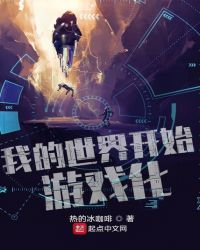 我的世界开始游戏化封面