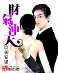 财气冲天封面
