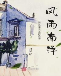 风雨南洋封面