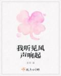 我听见风声响起封面