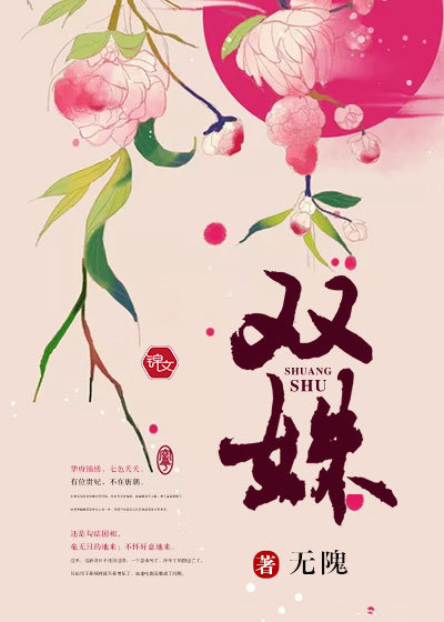 双姝封面